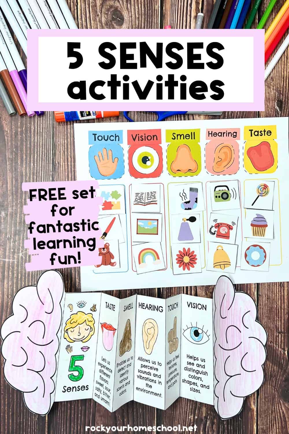 Five Senses Printables Pack for Sorting Fun and More (Free) - Rock Your ...