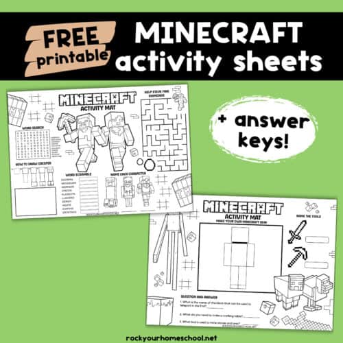 Two examples of Minecraft activity sheets.