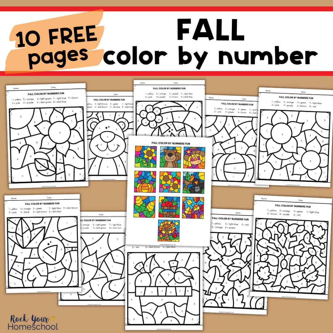 Fall Color by Number Pages