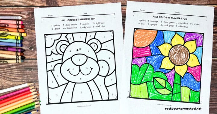 10 Free Fall Color by Number Worksheets for Easy Seasonal Fun - Rock ...