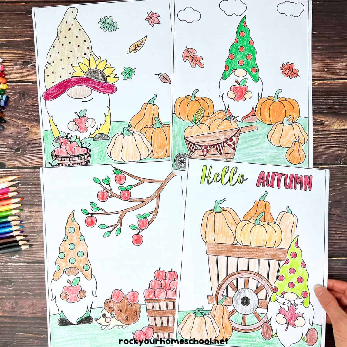 Woman holding 4 fall gnome coloring pages with Hello Autumn and more.