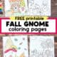 Four examples of fall gnome coloring pages with hello autumn, pumpkin patch, sunflowers, apples, acorns, and more.