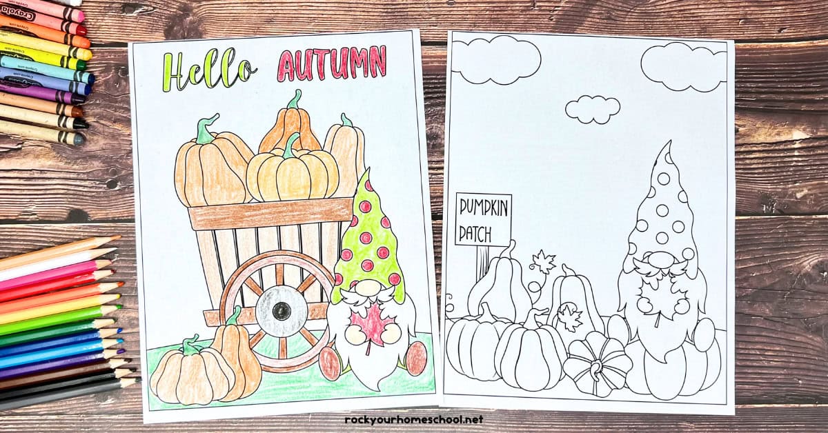 2 examples of free printable fall gnome coloring pages with Hello Autumn and pumpkin patch.