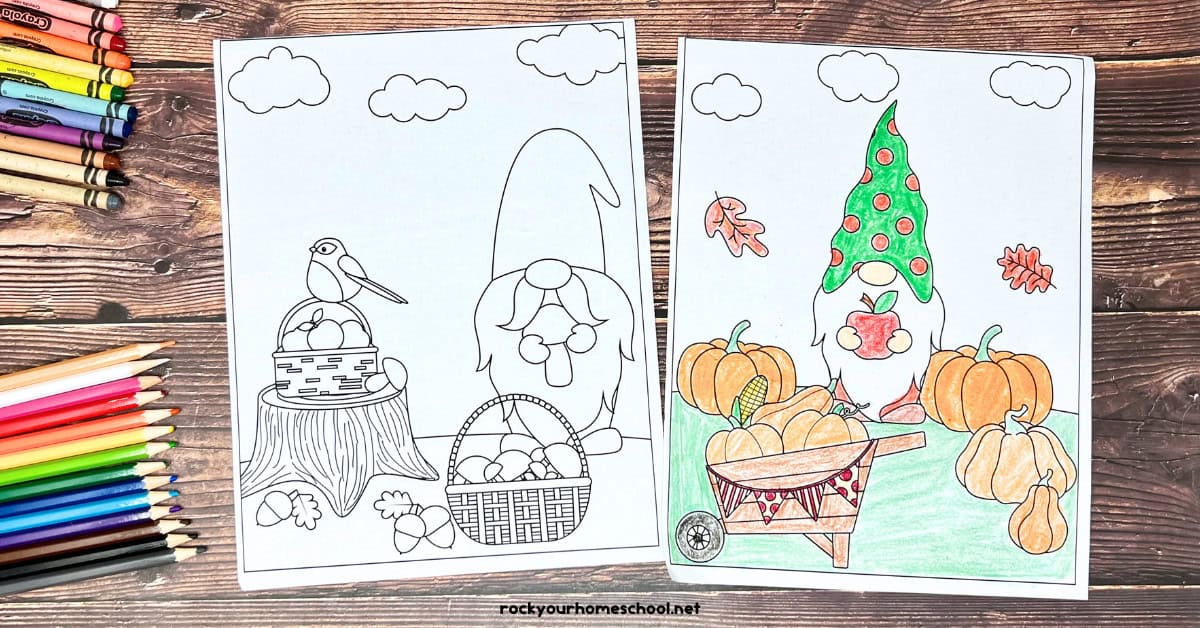 Two coloring pages featuring fall gnomes with apples, pumpkins, leaves, acorns, and mushrooms.