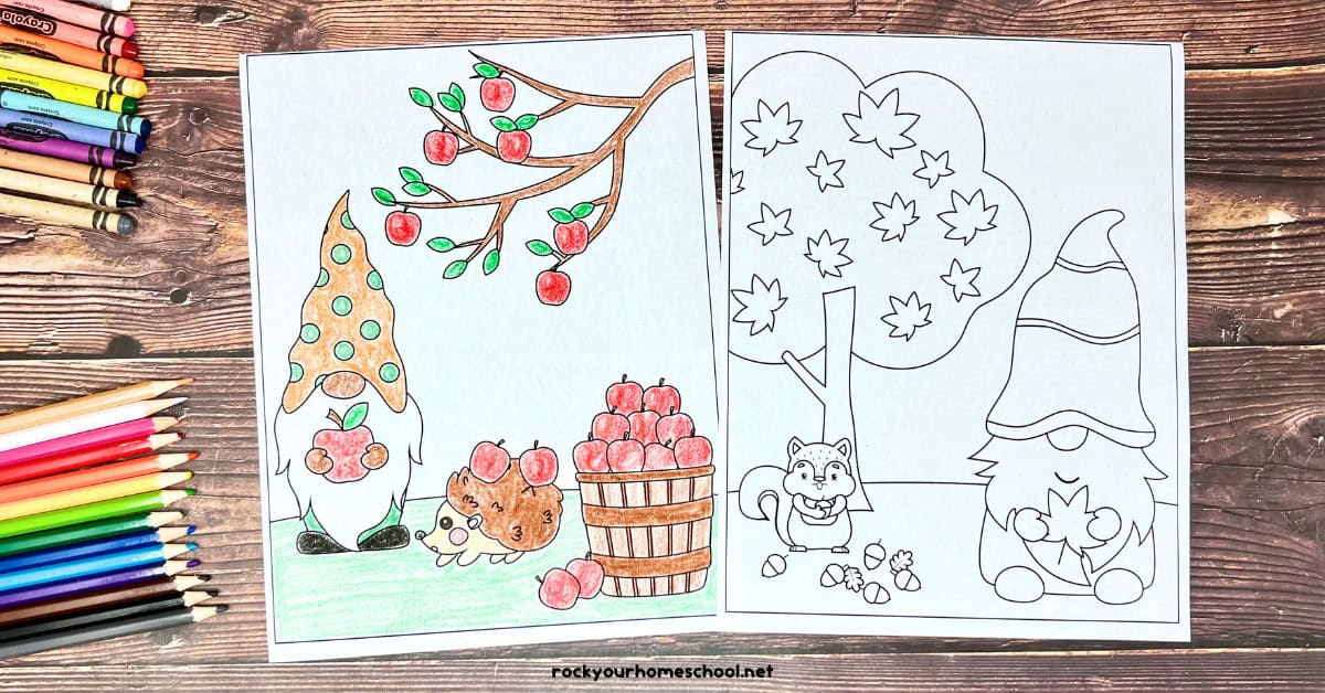 2 free printable coloring pages with autumn gnomes with apples, hedgehog, squirrel, acorns, and leaves.