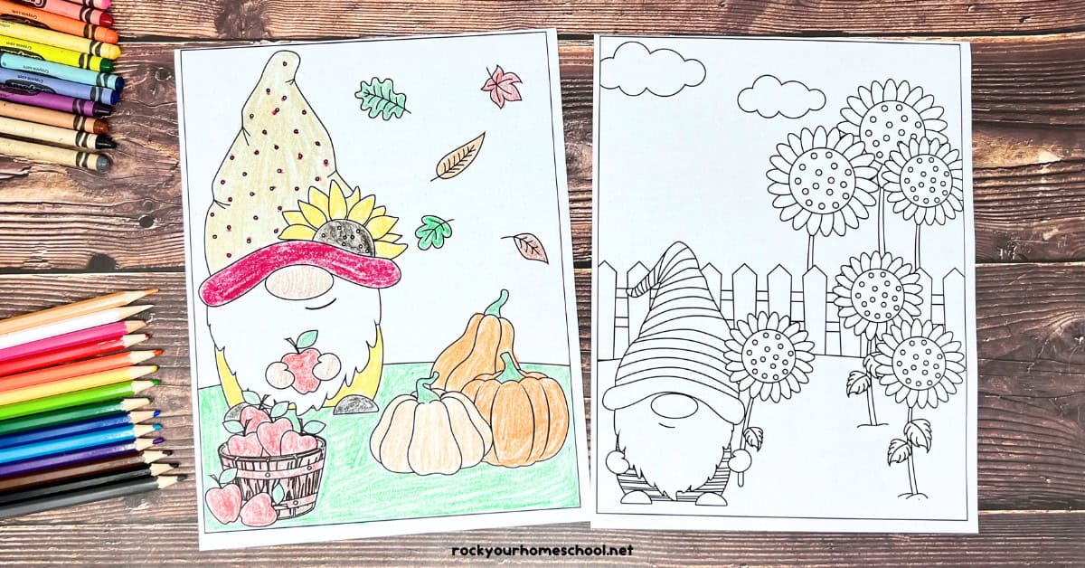 2 fall gnome coloring pages with sunflowers, apples, pumpkins, and leaves.