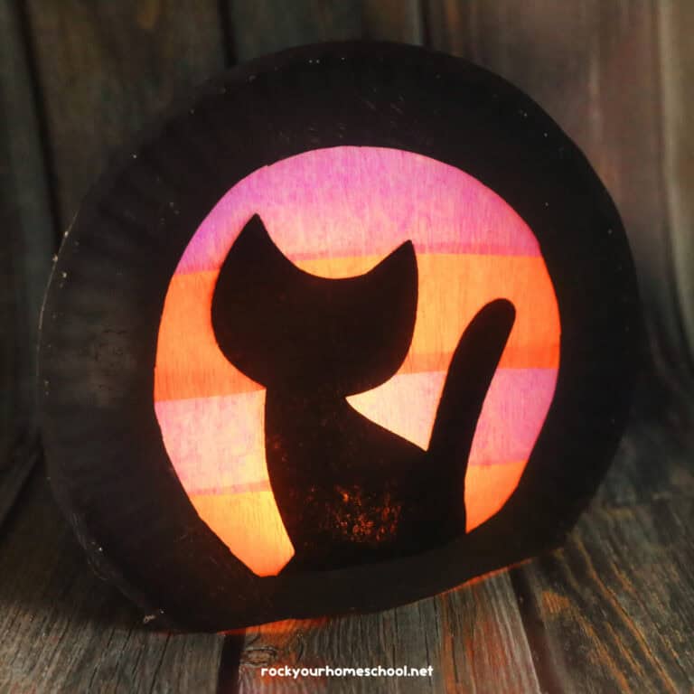 Example of easy Halloween luminary craft featuring a cute black craft made with paper plates, tealight, and paper streamers.