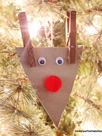 Example of easy reindeer ornament craft using cardboard, red pom pom, googly eyes, and clothespins on pine branches and white lights.