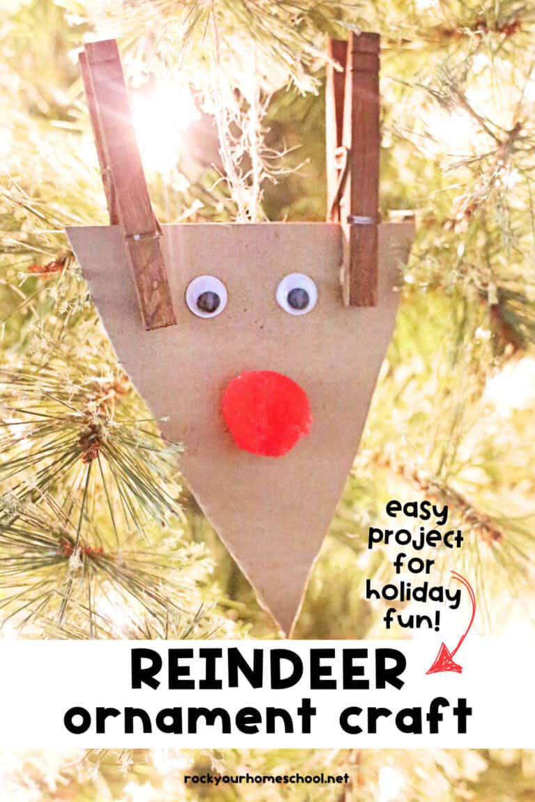 Example of easy Rudolph the Red-Nosed Reindeer ornament craft made out of cardboard, googly eyes, red pom pom, clothespins, and twine on Christmas tree with white lights.