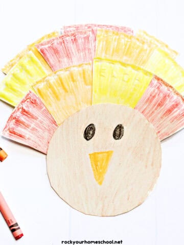 Example of simple turkey paper plate craft for kids with crayons.