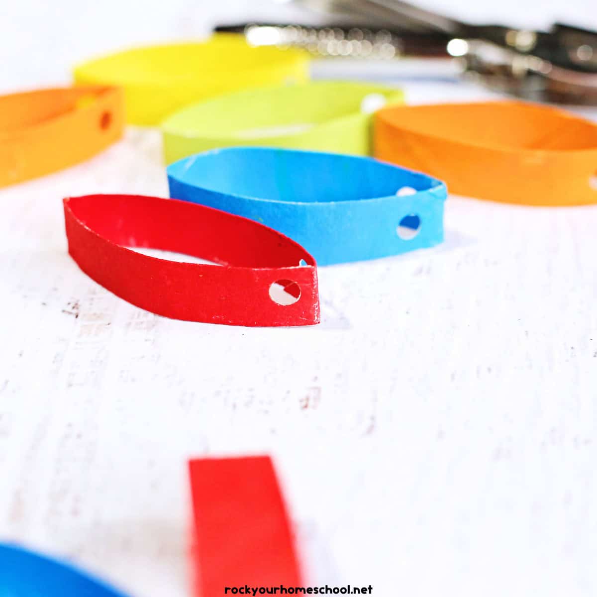 Red, blue, orange, green, yellow, and orange toilet paper roll rings with holes and hold punch.