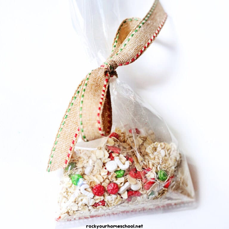 Bag of reindeer food made out of oats, red sanding sugar, and Christmas sprinkles with ribbon.