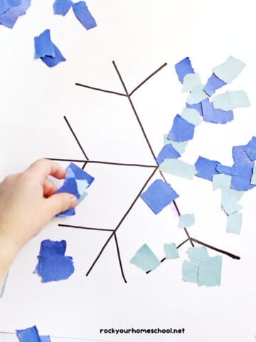 Child placing blue square of construction paper on black line of torn paper snowflake craft.