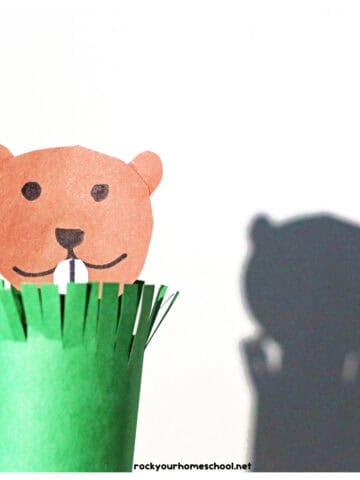 Example of cute groundhog puppet craft made with toilet paper rolls and popsicle stick.