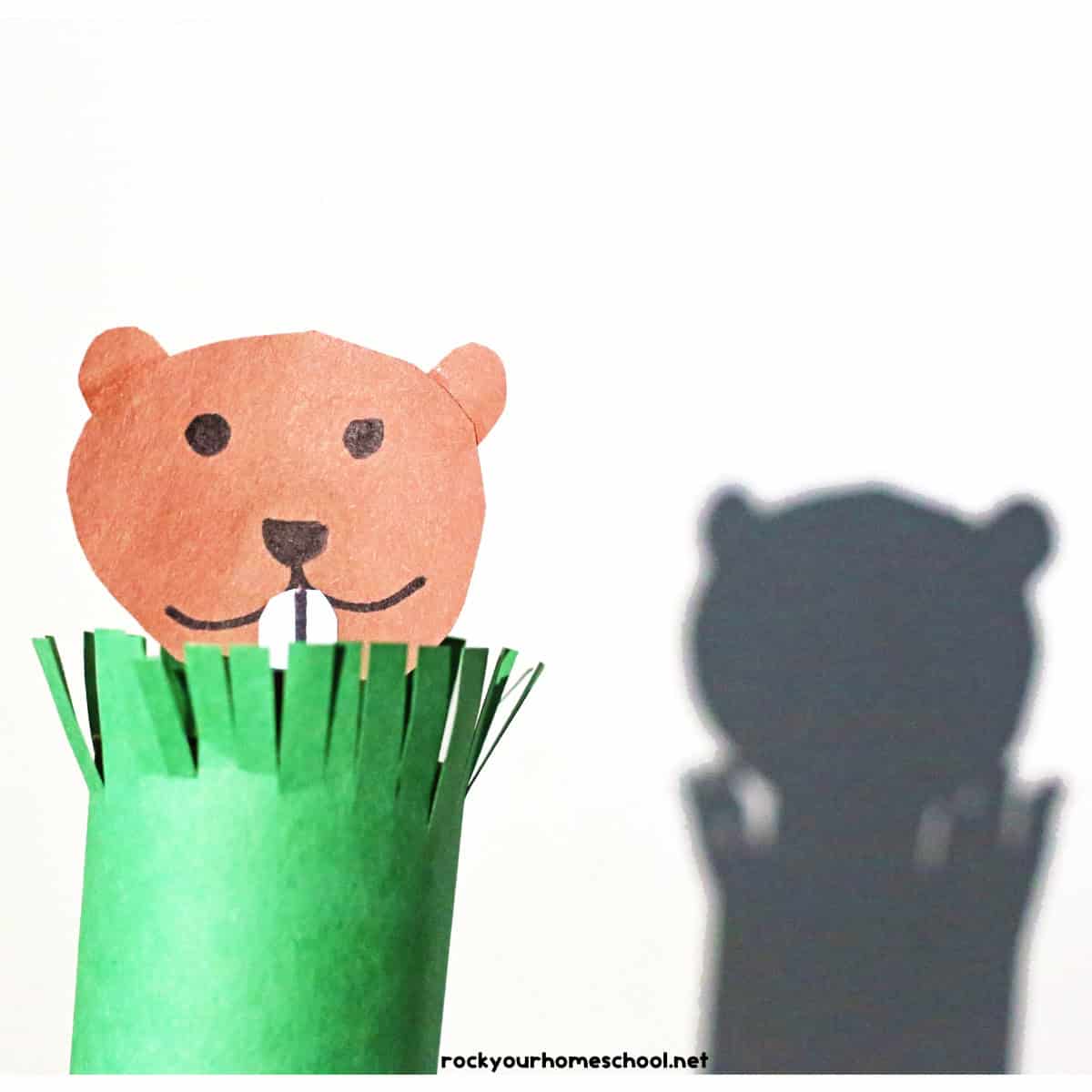 Example of cute groundhog puppet craft made with toilet paper rolls and popsicle stick.