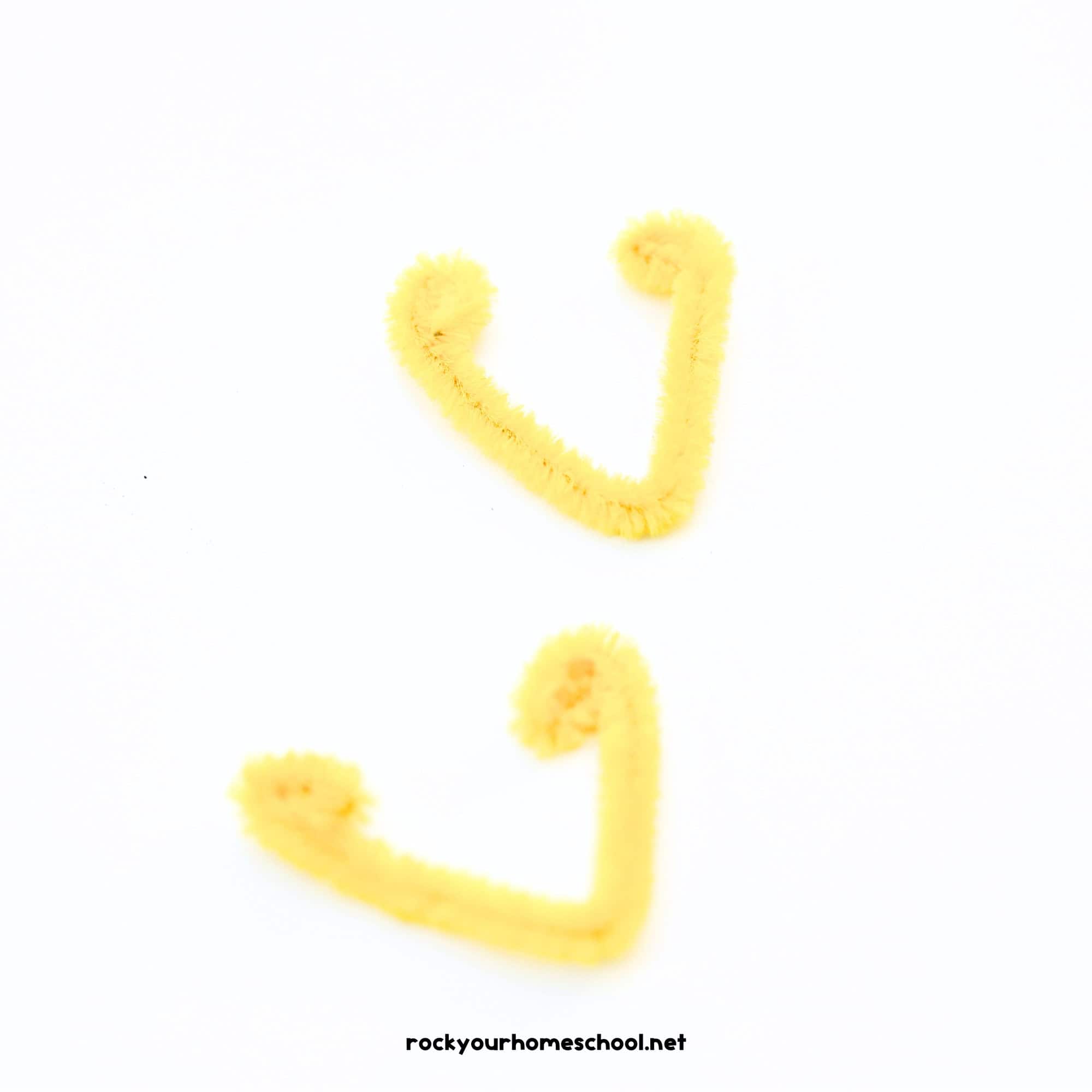 Two yellow pipe cleaners bent into V shapes and curled at the ends.