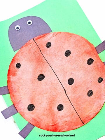 Example of red coffee filter ladybug craft with black paper legs and head on green construction paper.