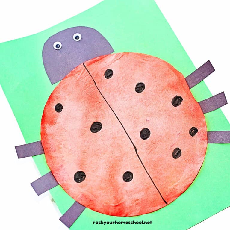 Example of red coffee filter ladybug craft with black paper legs and head on green construction paper.