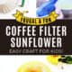 Coffee filters, markers, glue stick, green popsicle stick, and sunflower seeds with examples of coffee filter sunflower craft.