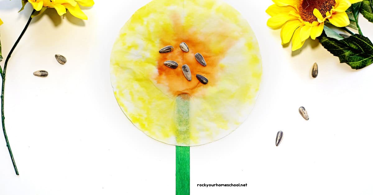 Example of coffee filter sunflower craft with sunflower seeds and 2 fake sunflowers.