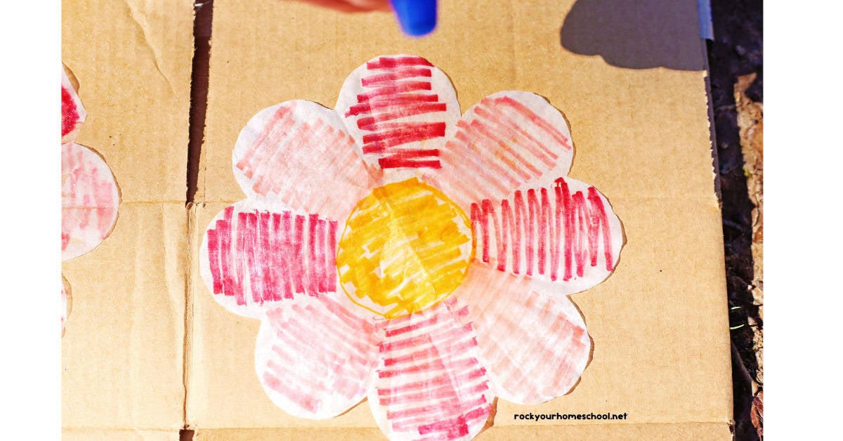 Coffee filter colored and cut to look like flower on cardboard.