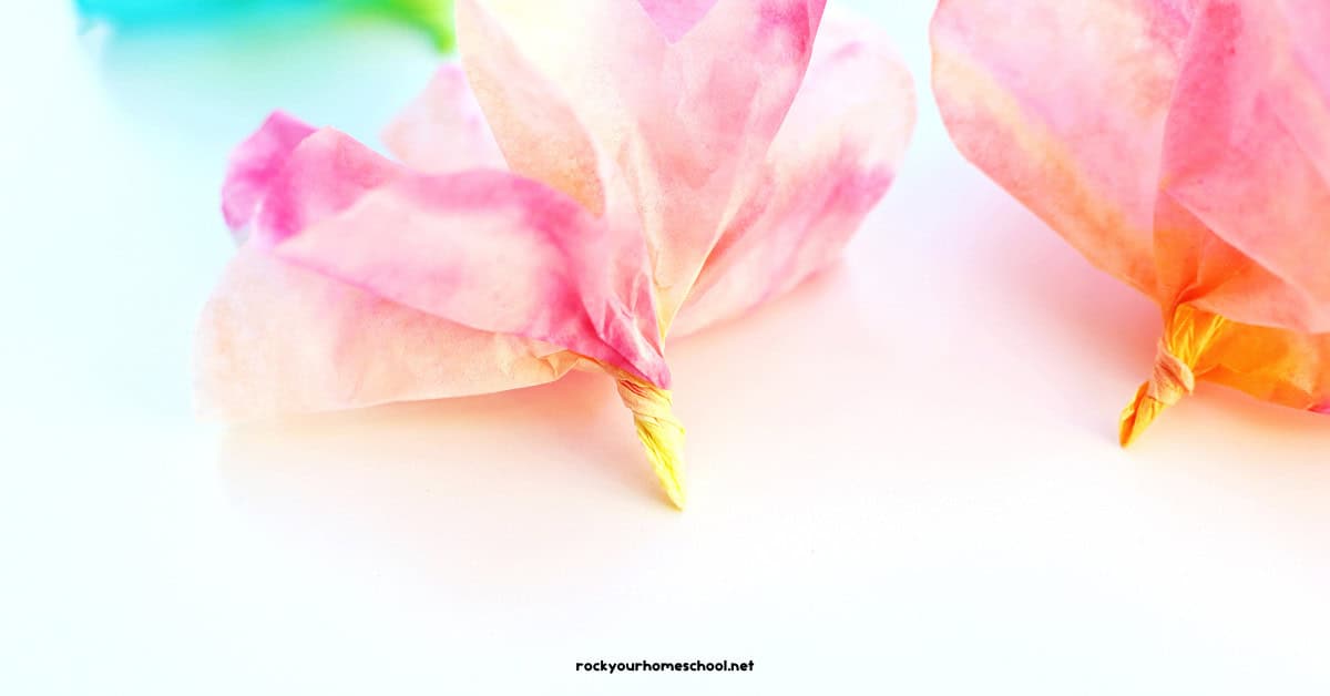 Two examples of colored coffee filters twisted to look like flowers.