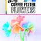 Markers, green pipe cleaners, coffee filters, blue spray bottle, and examples of easy coffee filter flowers.