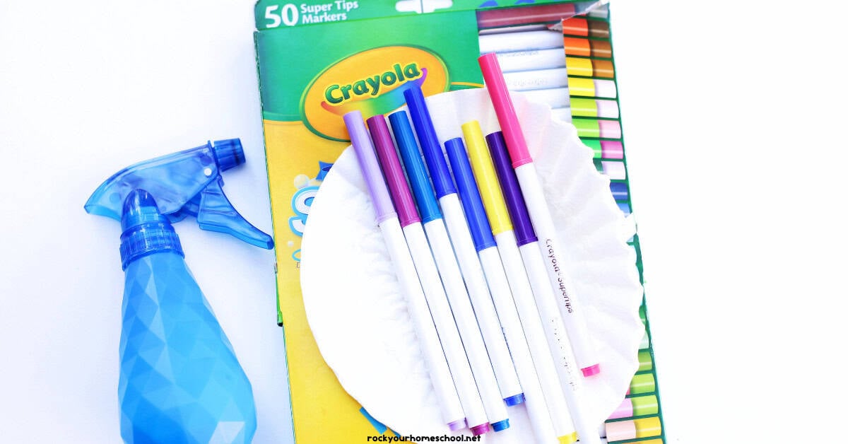 Blue spray bottle, washable markers, and coffee filters.
