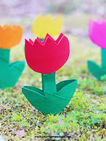 Four examples of toilet paper roll tulips in orange, red, yellow, and pink.