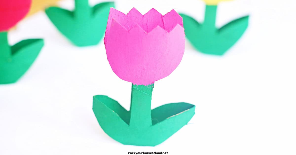 Example of pink toilet paper roll tulip.