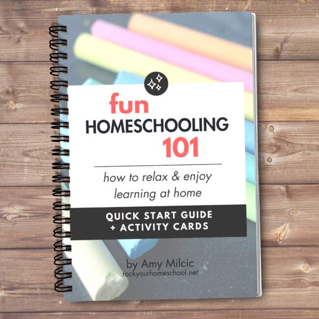 Example of Fun Homeschooling 101 quick start guide.