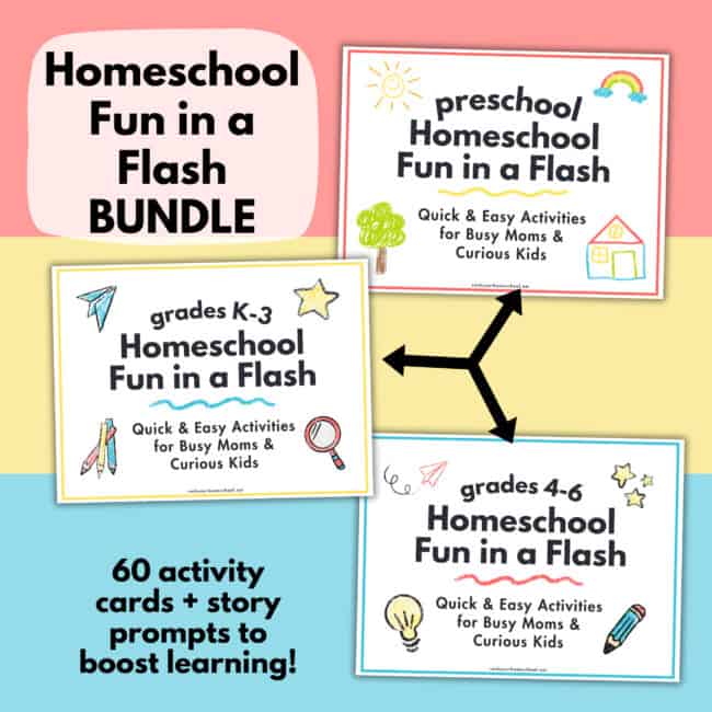 Three covers from Homeschool Fun in a Flash Bundle for preschool, K-3, and Grades 4-6.