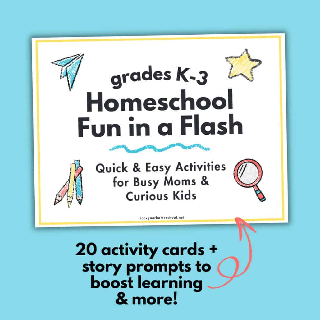 Three Fun K-3 Homeschool Fun in a Flash Kit - Rock Your Homeschool