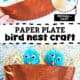 Paper plate, paint brush, brown paint, orange foam sheet, raffia, blue pom poms, and googly eyes with examples of bird nest crafts.