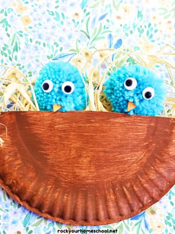 Example of paper plate bird nest with blue pom pom birds.