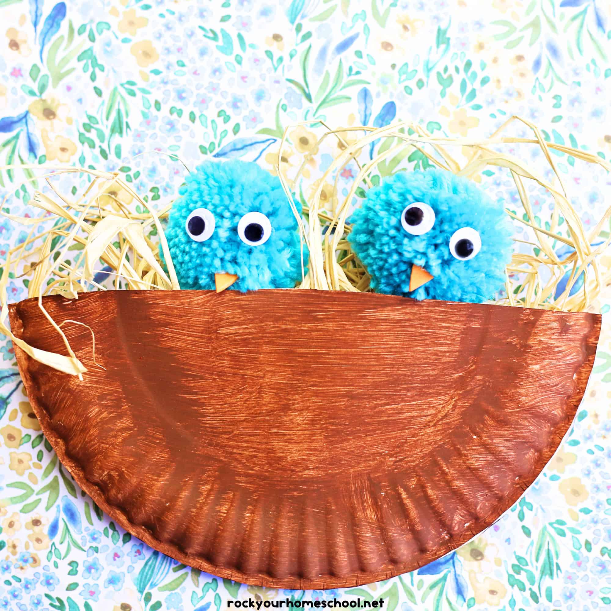 Example of paper plate bird nest with blue pom pom birds.