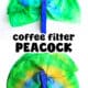 Two examples of coffee filter peacocks with blue clothespins.