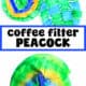 Coffee filters with green and blue markers and example of coffee filter peacock with blue clothespins.