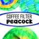 Coffee filters with green and blue markers and example of coffee filter peacock with blue clothespins.