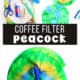Coffee filters, scissors, paint brush, blue paint, markers, clothespins and example of coffee filter peacock.