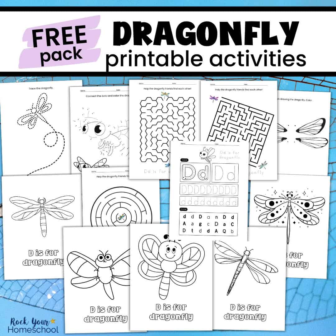 Examples of printable dragonfly activities.
