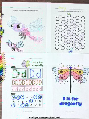 Four examples of free dragonfly printables including connect the dots, maze, letter Dd, and coloring pages.