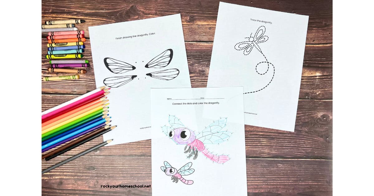 3 dragonfly printables featuring draw a dragonfly, tracing, and connect the dots.
