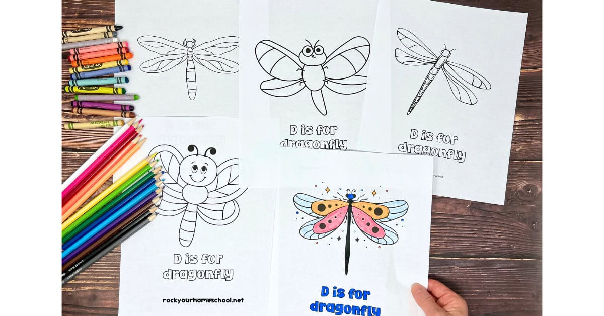 5 examples of free printable dragonfly coloring pages.