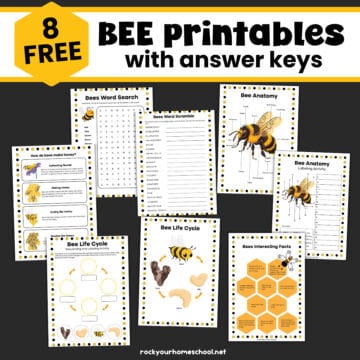 Free Bee Printables: 8 Activities For Fun (with Answer Key)- Rock Your ...