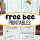 Woman holding examples of free bee printables with fun activities like bee life cycle, anatomy, word search, word scramble, interesting facts, and more.