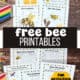 Woman holding examples of free bee printables with fun activities like bee life cycle, anatomy, word search, word scramble, interesting facts, and more.