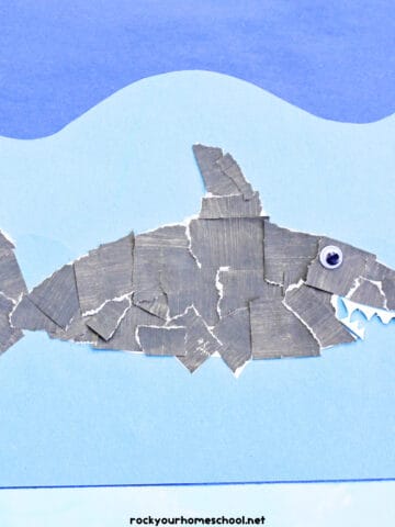 Example of gray torn paper shark craft on bleu construction paper waves.