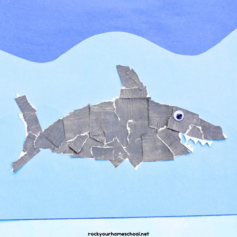 Example of gray torn paper shark craft on bleu construction paper waves.
