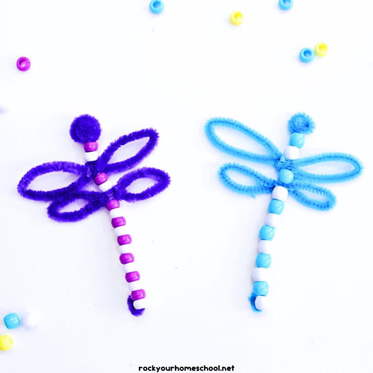 Two examples (in purple in blue) of pipe cleaner dragonflies.